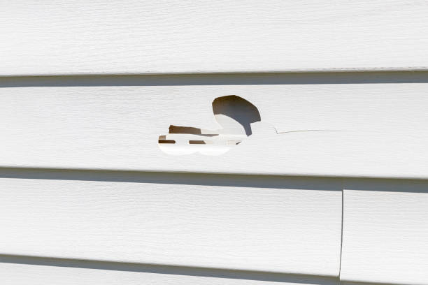 Best Historical Building Siding Restoration  in Tomah, WI