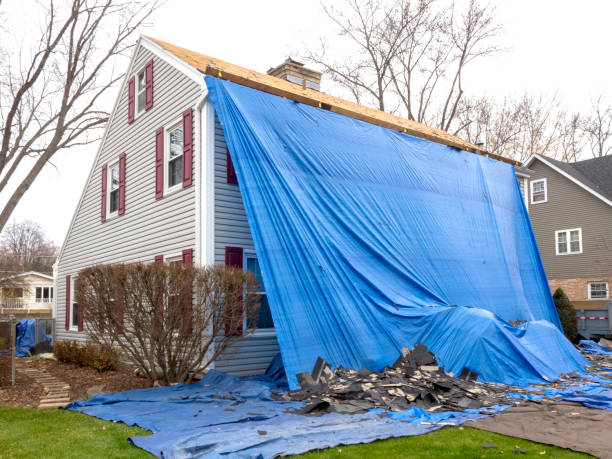 Affordable siding repair and maintenance services in Tomah, WI