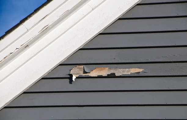 Professional Siding Installation & Repair in Tomah, WI